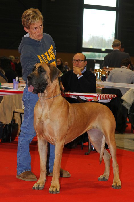 elektra metz 2010.jpg elektra metz 2010.jpg